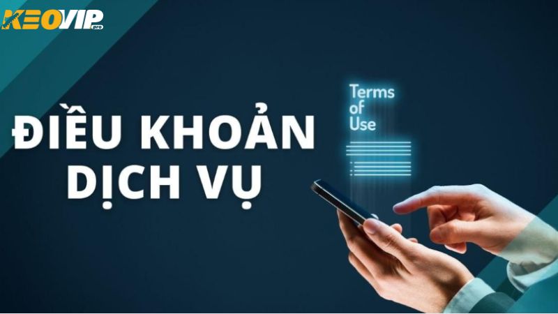 Điều khoản dịch vụ về quyền sở hữu trí tuệ tại Keovippro